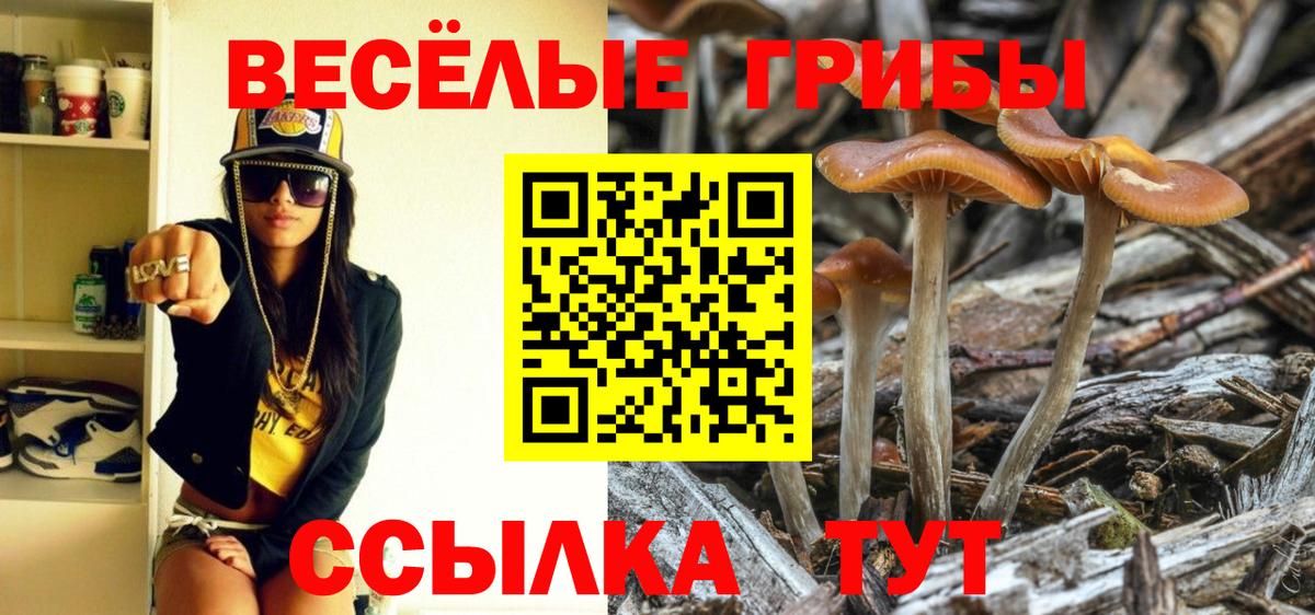 Галлюциногенные грибы мухоморы  Вход с VPN  Юрга 
