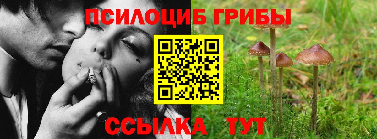 Псилоцибиновые грибы Psilocybine cubensis Юрга